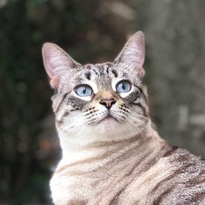 Meet your Posher, Andy